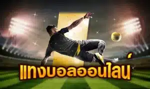 แทงบอล 2025