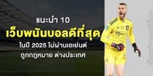เว็บแทงบอลออนไลน์ 2025